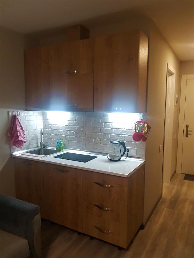 New Gudauri Loft 2 - "Mano", Near Ski Lift Gondola Εξωτερικό φωτογραφία